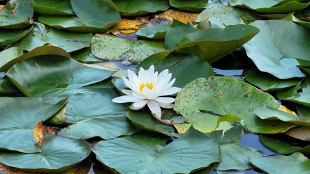 Similar image 21895926