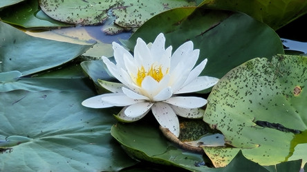 Similar image 21895927