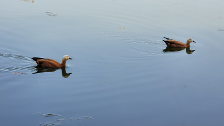 Similar image 21895928