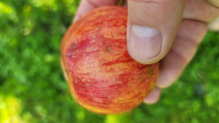 Similar image 21895290