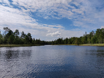 Similar image 21895395