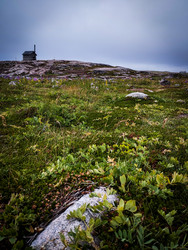 Similar image 21906614