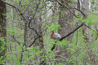 Similar image 21896256