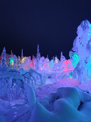 Similar image 21895398