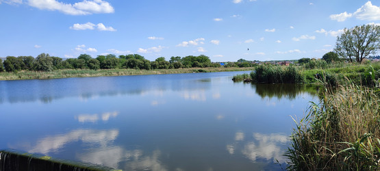 Similar image 21895931