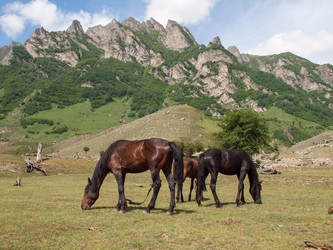 Similar image 21897389