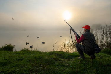 Similar image 21897824