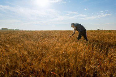 Similar image 21897844