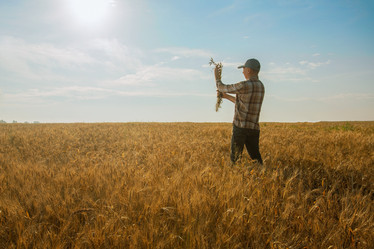 Similar image 21897845