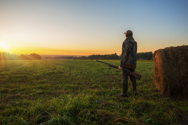 Similar image 21897848