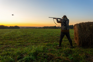 Similar image 21897849