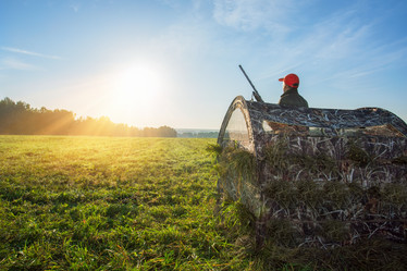 Similar image 21897851