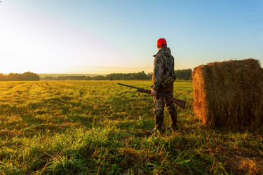 Similar image 21897852