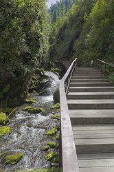 Similar image 21895472