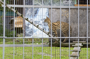 Similar image 21895475