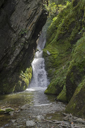 Similar image 21895477