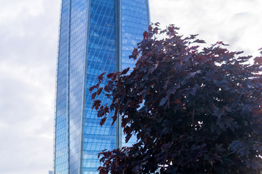 Similar image 21897939