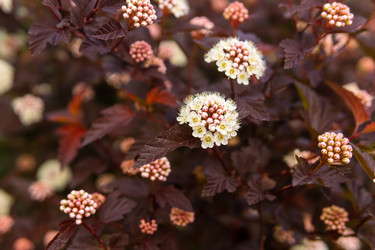 Similar image 21897942