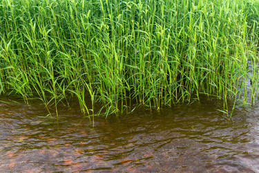 Similar image 21897943