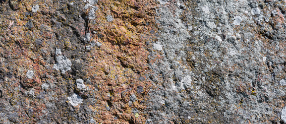 Similar image 21897948