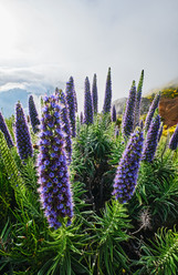 Similar image 21896883