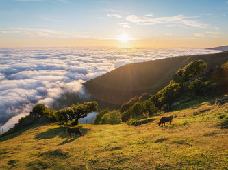 Similar image 21896890