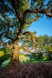 Similar image 21896892