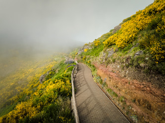 Similar image 21896894