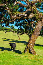 Similar image 21896895