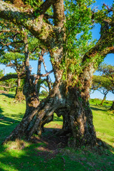 Similar image 21896896