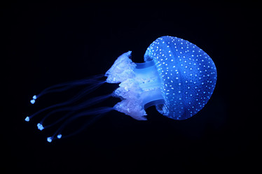 Similar image 21896906