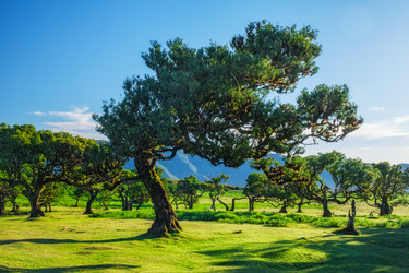 Similar image 21896916