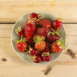 Similar image 21897302