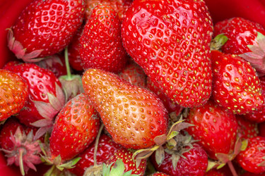 Similar image 21897304