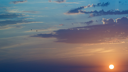 Similar image 21897306