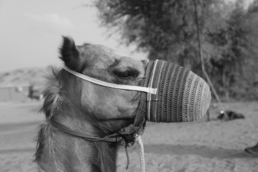 Similar image 21897307