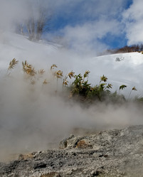 Similar image 21897309