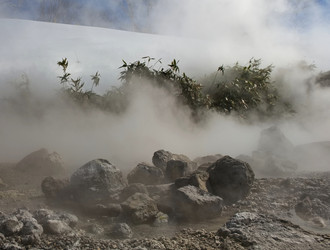 Similar image 21897310