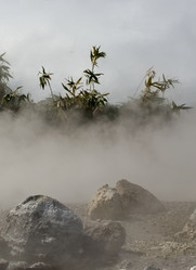 Similar image 21897311