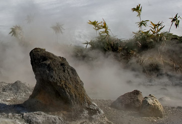 Similar image 21897312