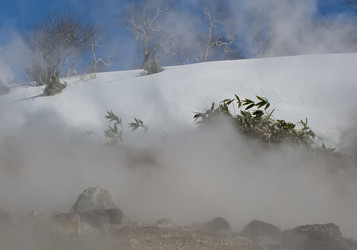 Similar image 21897313