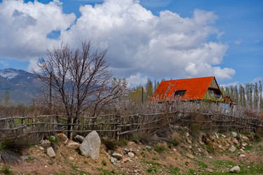 Similar image 21895956