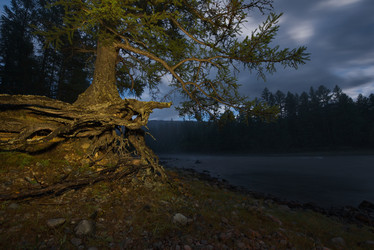 Similar image 21895957