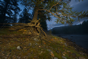 Similar image 21895958