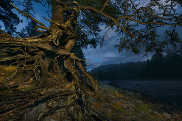 Similar image 21895959