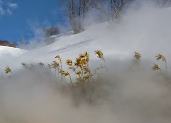 Similar image 21897315