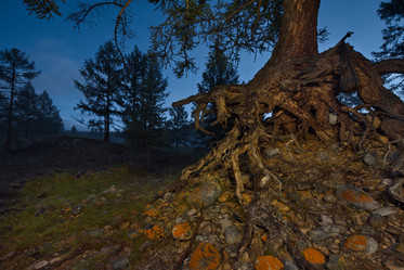 Similar image 21895960