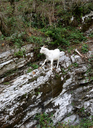 Similar image 21895970