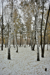 Similar image 21895974