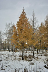 Similar image 21895975